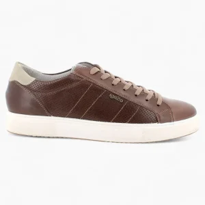 Igi & Co Men's Smooth Brown Leather Runner Shoes with Memory Foam Insole